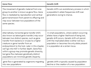 Notes On Key Difference Gene Flow And Genetic Drift