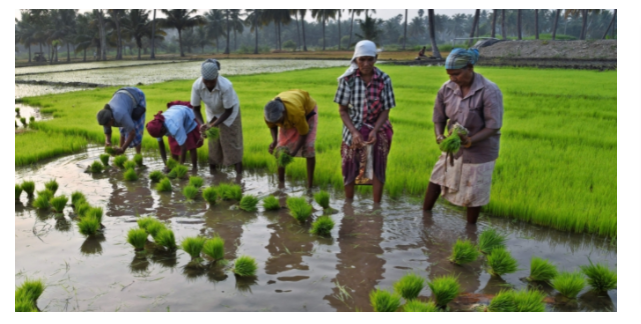 upsc-note-on-polity-class-6-rural-livelihoods-by-unacademy