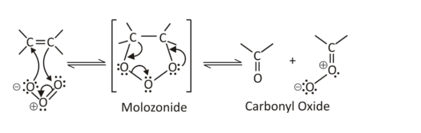 Ozonolysis And Polymerization Reaction By Unacademy