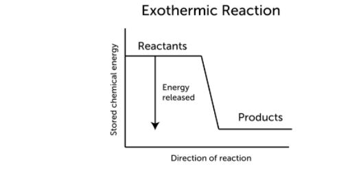 Endothermic Exothermic Reactions