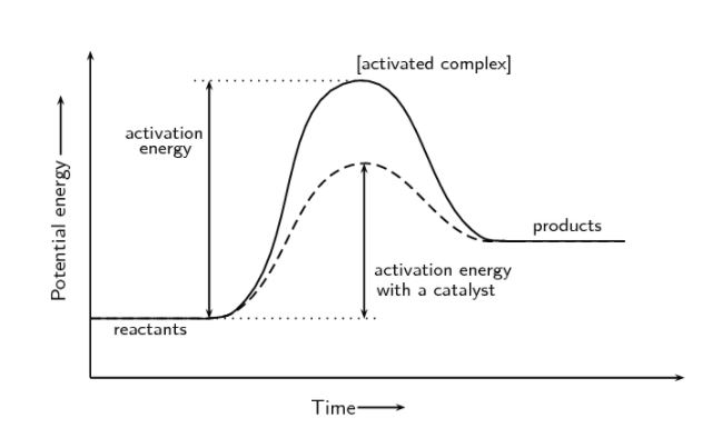 Factors Affecting Activation Energy Notes