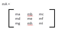 scalar and matrix multiplication assignment