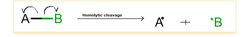 Cleavage of Bond of Carbon