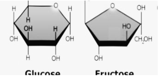 At equilibrium in aqueous solution, D-fructose consists of 70 percent \beta  pyranose, 2 percent \alpha pyranose, 23 percent \beta furanose, and 5  percent \alpha furanose forms. Draw the structure of all four. |