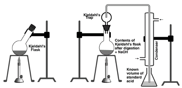 overview-on-estimation-of-nitrogen-by-kjeldahl-method