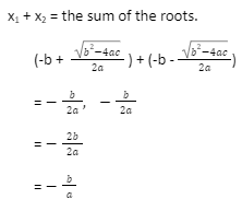 Everything You Should Know About Roots