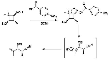 A Key Precis on Beckmann Rearrangement.