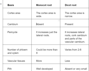 SOLUTION: Differences between dicot and monocot root - Studypool