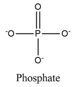 phosphate diagram