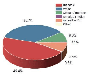 All About Pie Graph Categories