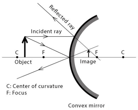 Define Principal Focus of a Convex Mirror