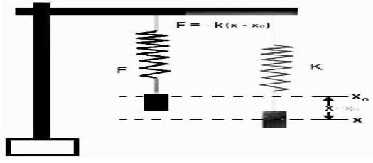 Spring Force Formula