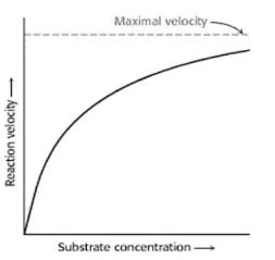 Notes on What is the Mechanism behind Enzyme Catalysis